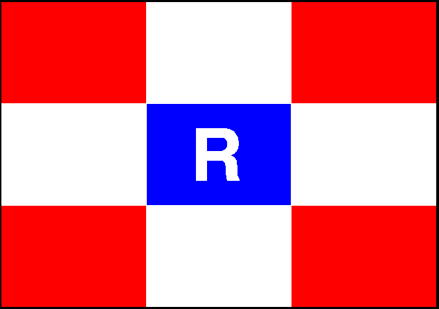 RSM Logo