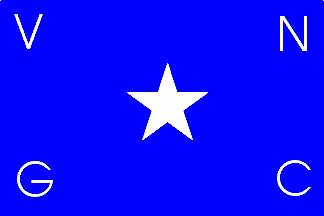 vNG Logo