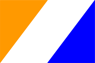 VNS Logo